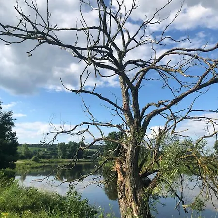 Idyllische Hofblick Balkonterrasse Wg 2 Hofblick Wg 1 Ohne Terrasse Apartament *